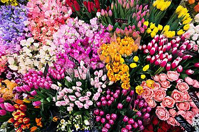 绣湖新作《Underground Blossom》Steam页面上线 2023年发售